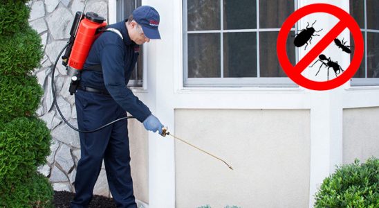 Efeler Bit İlaçlama böcek ilaçlama ve haşere kontrolü — ilaclama-tr.com